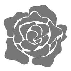 Gray rose