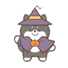 ハロウィンのコスプレをする黒柴犬