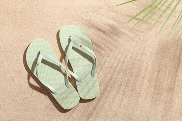 Stylish flip-flops and shadow of tropical leaf on sand as background, closeup