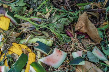 Establishing an Organic Waste Pile for Effective Composting and Greater Environmental Sustainability