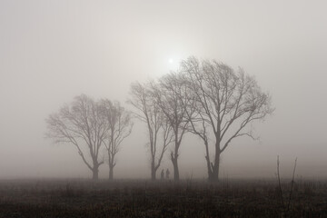 Misty winter morning in Mooi River, South Africa.