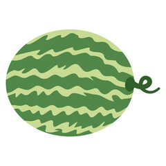 Watermelon fruit illustration in flat style