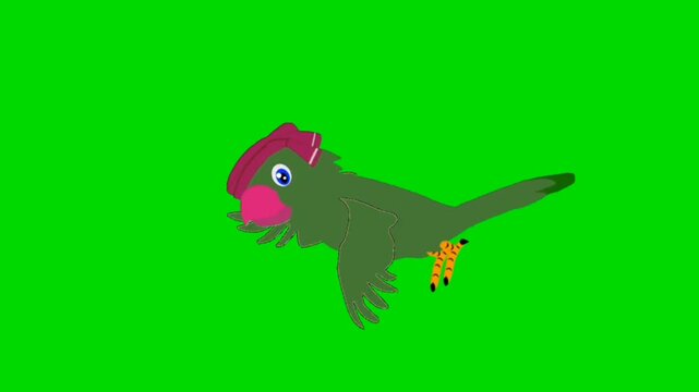 Cute parrot cartoon character flying in the sky 2d animation video with green screen background chroma key.