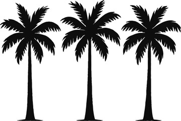 silhouette of three palm trees