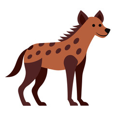 Hyena on white background
