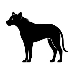 Hyena on white background