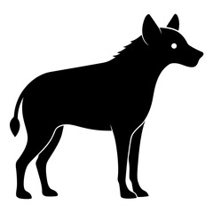 Hyena on white background