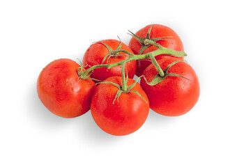Fresh red tomatoes on a twig isolated on white background
