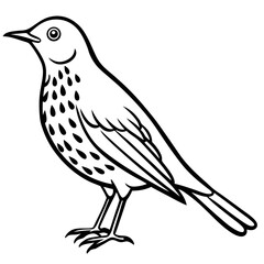 Minimalist Song Thrush Sketch