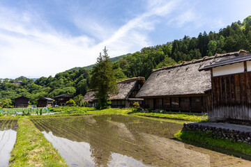 白川郷の合掌造り家屋と初夏の水田 2025年6月撮影。白川郷の合掌造りの古民家と、水田に映る緑豊かな風景が広がる。  © Jazz Hapi Yuko