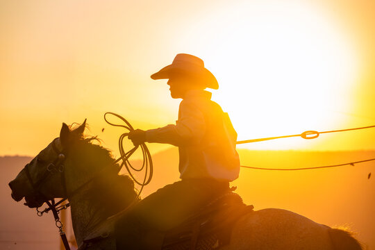 Silhouetted Cowboy Roping at Sunset on Horseback