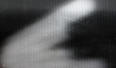 textured grayscale surface with abstract blurred tree silhouettes creating a subtle moody...