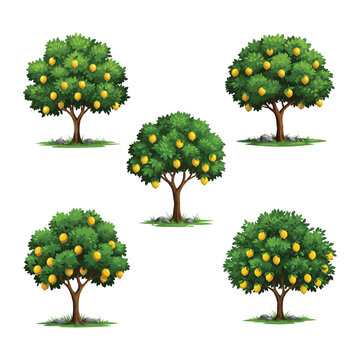 Cartoon Lemon Tree Vector Illustration Set