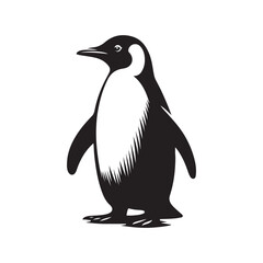 penguin vector illustration