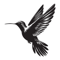 vector illustration of a bird
