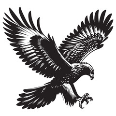 eagle in flight