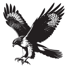 eagle in flight
