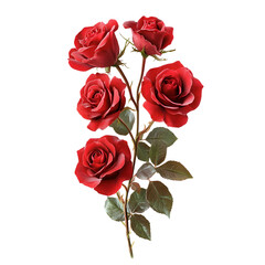 Fototapeta premium Dark Red Roses Bouquet Isolated Black Background Romantic Flowers