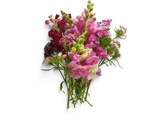 Isolated pink roses in a vase, a delicate flower arrangement