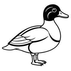 Modern Wood Duck Illustration in Line Style