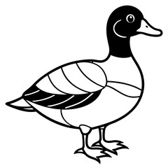 Modern Wood Duck Illustration in Line Style