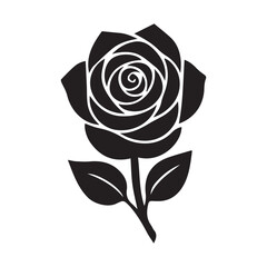 rose on black