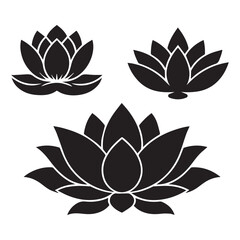 set of lotus flowers
