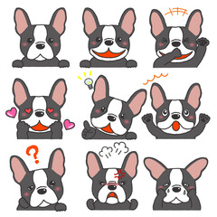 フレンチブルドッグのいろいろな表情のセット