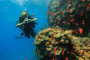 Scuba diver underwater making OK hand sign near vibrant coral reef with colorful tropical fish. Underwater adventure, marine life, and diving experience concept.
