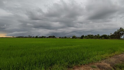 landscape with clouds