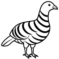 Monochrome Zebra Dove Line Drawing