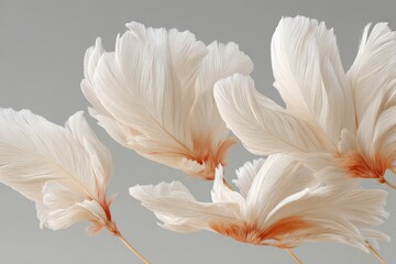 White feathers banner