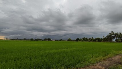 Fototapeta premium clouds over the field