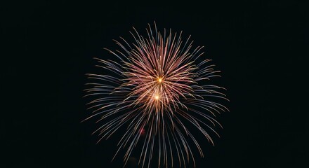Radiant burst of fireworks against a night sky background
