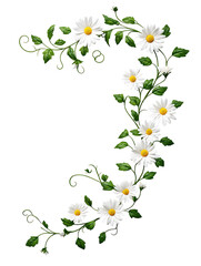 Obraz premium Floral arrangement displaying daisies and greenery nature setting graphic design creative concept