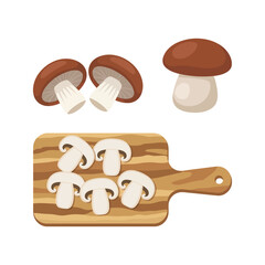 Vector illustration of edible fungi. Raw king oyster mushroom ripe, whole and slice, ready for cooking. Vegetarian food, full of protein