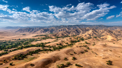 Fototapeta premium Arid Landscape Panorama: A breathtaking aerial view of a vast, arid landscape, showcasing rolling hills, sparse vegetation, and a dramatic sky filled with fluffy cumulus clouds.