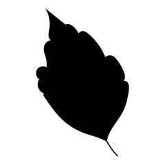 Silhouette of a single leaf on a white background. Black element. Vector.