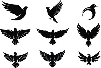 Obraz premium Collection of various black bird silhouettes on a white background
