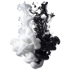 Fototapeta premium Black and white liquid swirls abstract art dynamic contrast,