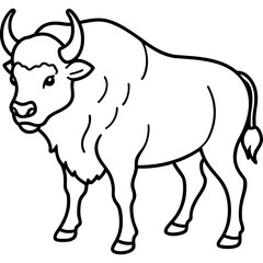 North American Bison Line Drawing