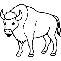North American Bison Line Drawing