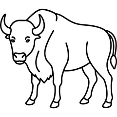 North American Bison Line Drawing
