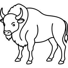 North American Bison Line Drawing