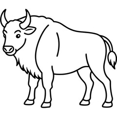 North American Bison Line Drawing