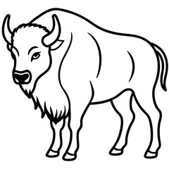 North American Bison Line Drawing