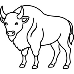 North American Bison Line Drawing