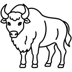 North American Bison Line Drawing