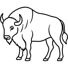 North American Bison Line Drawing