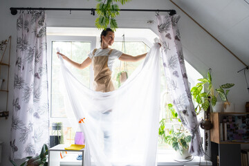 Woman in apron hangs transparent tulle curtains on large attic windows in the house inside the interior with potted plants. Spring cleaning, tidying up